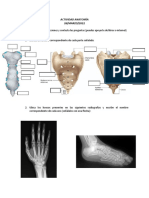 Anatomía humana: Actividad de identificación de partes del cuerpo y articulaciones