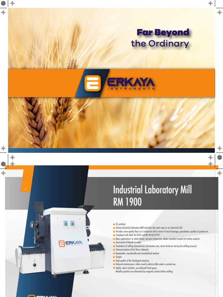 Erkaya en 2022 | PDF | Flour | Dough
