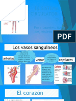 El Sistema Circulatorio