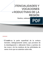 Potencialidades y Vocaciones Productivas de La Región