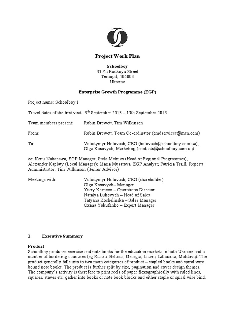 Project work plan pdf sales marketing