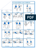 Exercices de Musculation Avec Halteres