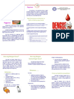 Dengue Fever Pamphlet