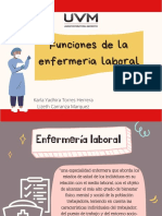 Funciones de Enfermeria Laboral