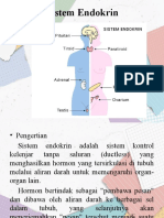 Tim 5 - Sistem Endokrin