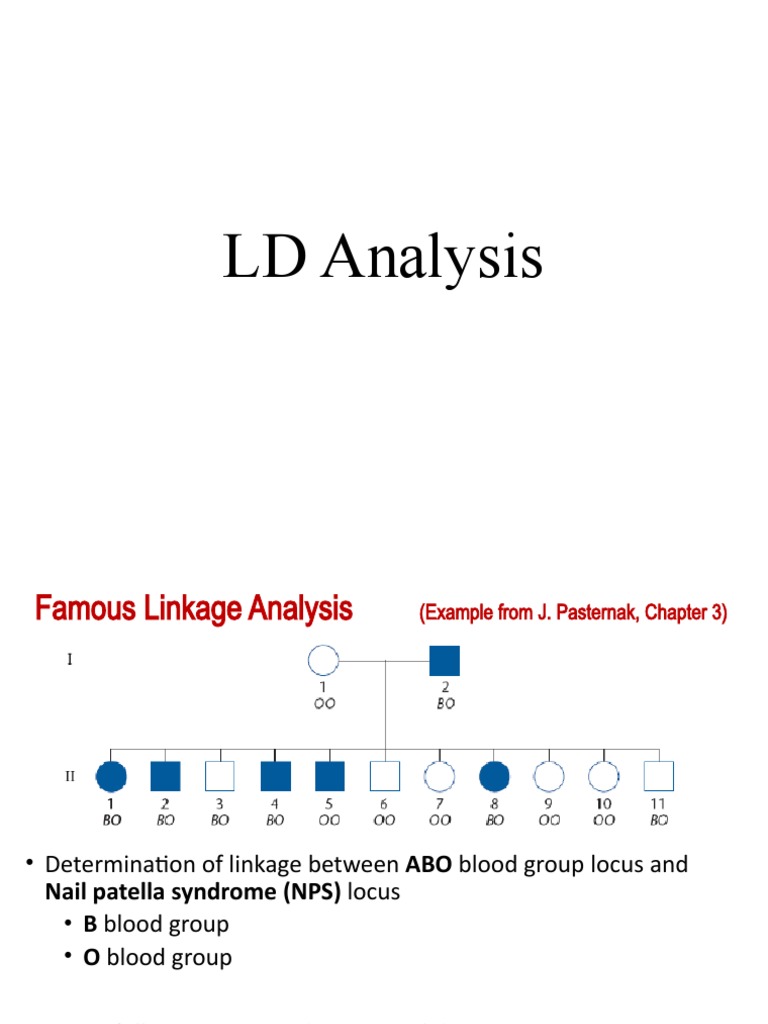 LD Analysis | PDF | Art