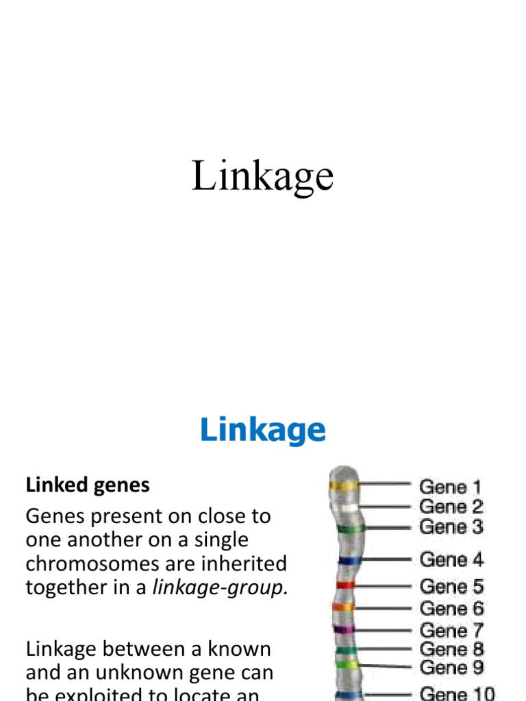 Linkage | PDF | Social Science | Science & Mathematics