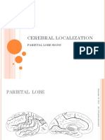 Cerebral Localization Parietal Lobe Signs