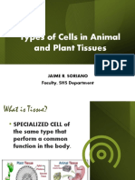 Types of Animal and Plant Cells & Tissues