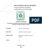 Evaluación de Propagación Asexual de Pitahaya en Diferetentes Tipos de Sustrato