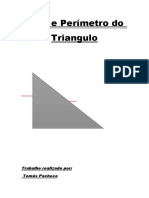 Área e Perímetro Do Triangulo Tomas