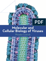 Molecular and Cellular Biology of Viruses. Phoebe Lostroh