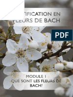 module-1-conseiller-en-fleurs-de-bach (1)