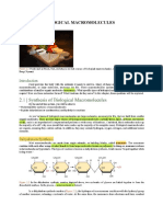 Microsoft Word - Module 2B - Biological Macromolecules - Docx - Module 2B - Biological Macromolecules