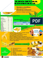 Infografia Banano