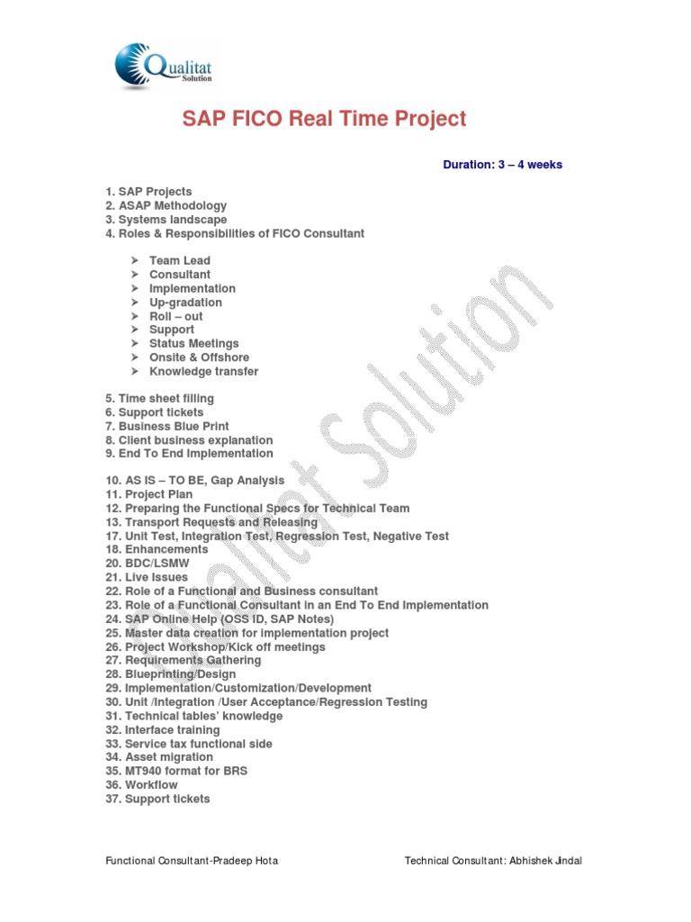 SAP FICO Real Time Project Overview | PDF | Art | Technology & Engineering