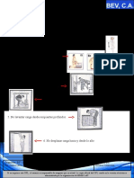 OPL #0008 BEV, C.A Levantamiento de Peso Manual