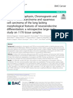 Pulmon Role of Synaptophysin Chromogranin