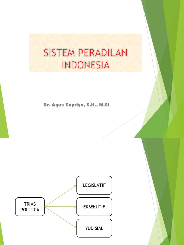 PTUN dan PDIP dalam sistem peradilan Indonesia