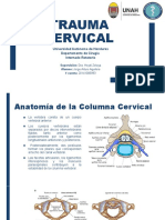 Trauma Cervical Internado