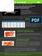 Rosa y Turquesa Futurista Tecnología Investigación Resultados Informe Infografía