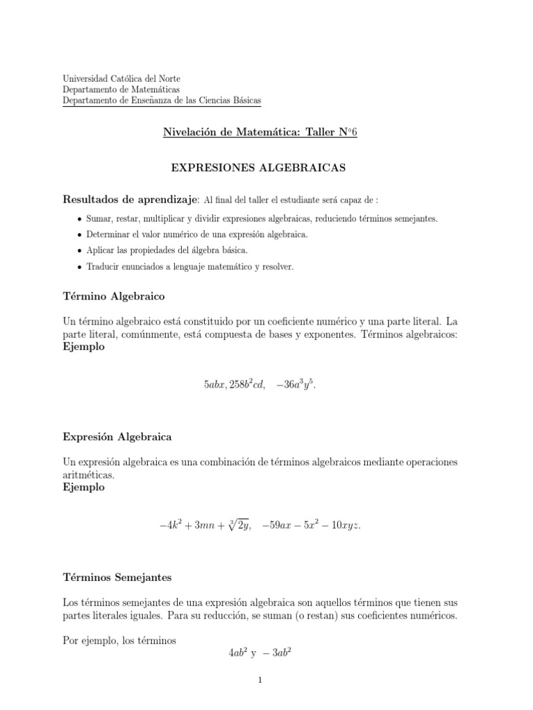 Taller de Expresiones Algebraicas 6 | PDF | Álgebra | Fórmula