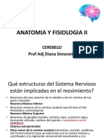 ANATOMIA Y FISIOLOGIA II-Cerebelo