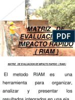 CLASE 17 MATRIZ DE EVALUACION DE IMPACTO RAPIDO ( RIAM BASIC )