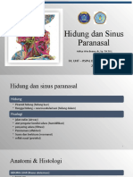 Dr. Aditya Hidung Dan Sinus Paranasal