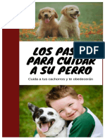 Los Pasos para Cuidar A Su Perro