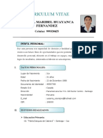 Curriculum Vitae Yesenia Maribel Huayanca Fernandez