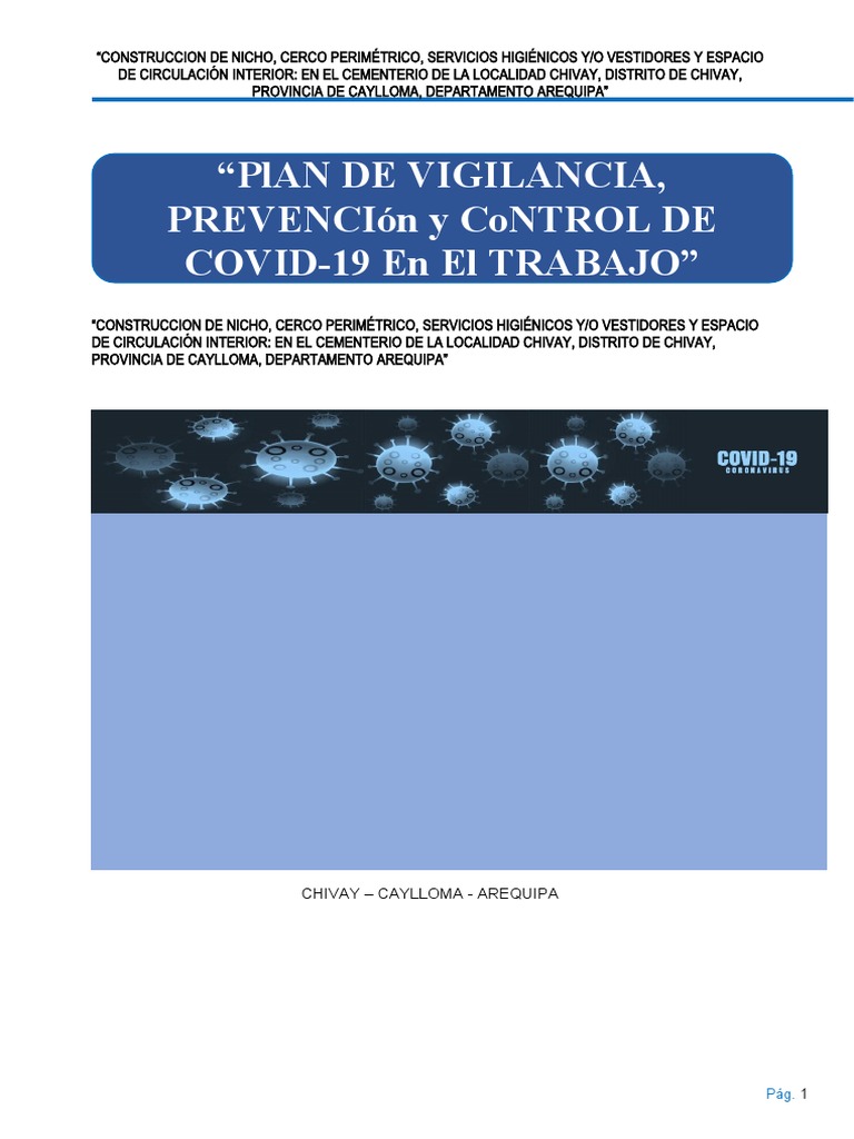 Plan Covid | Descargar gratis PDF | Lavado de manos | Inmunología