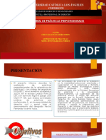Diapositivas PPP