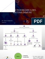 Visión Panorámica Del Sistema Inmune