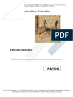 Manejo General Patos - Unlocked