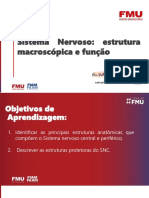 Sistema Nervoso Anatomia-4