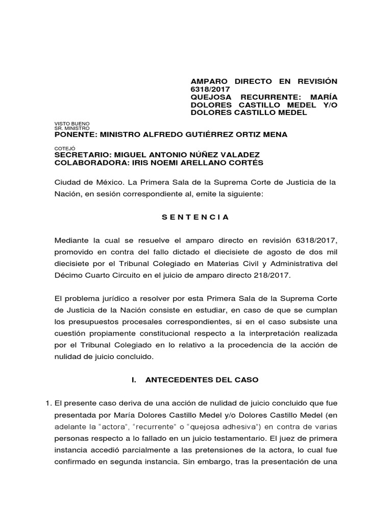 Revision Suprema Corte Accion de Nulidad de Juicio Concluido | PDF