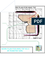 MMG TSF Working Plan