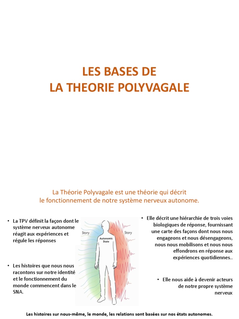 Introduction à la théorie polyvagale | PDF | Système nerveux autonome ...