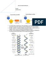 Aula 19: Genética Molecular - DNA, RNA e Síntese de Proteínas