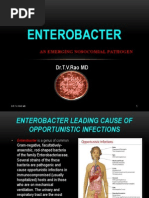 Download Enterobacter Nosocomial infections by doctorrao SN59710349 doc pdf