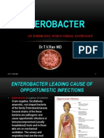 Enterobacter Nosocomial Infections