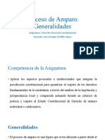 Proceso de Amparo. Generalidades