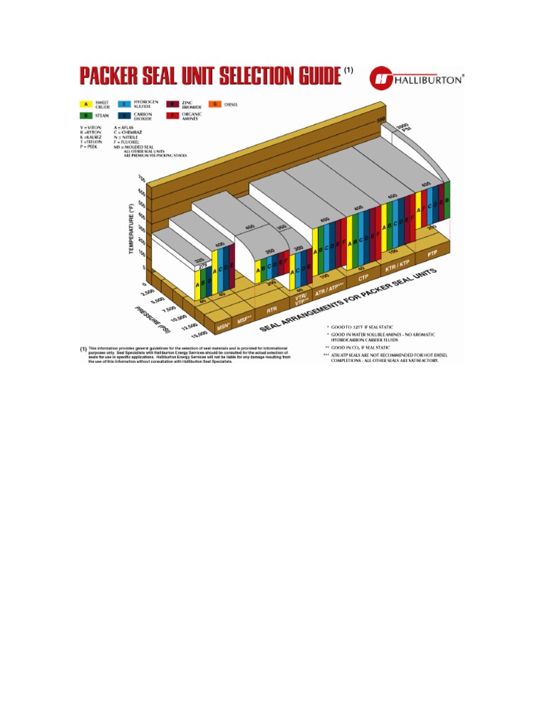 Halliburton_D00128383_Packer Seal Units PDF