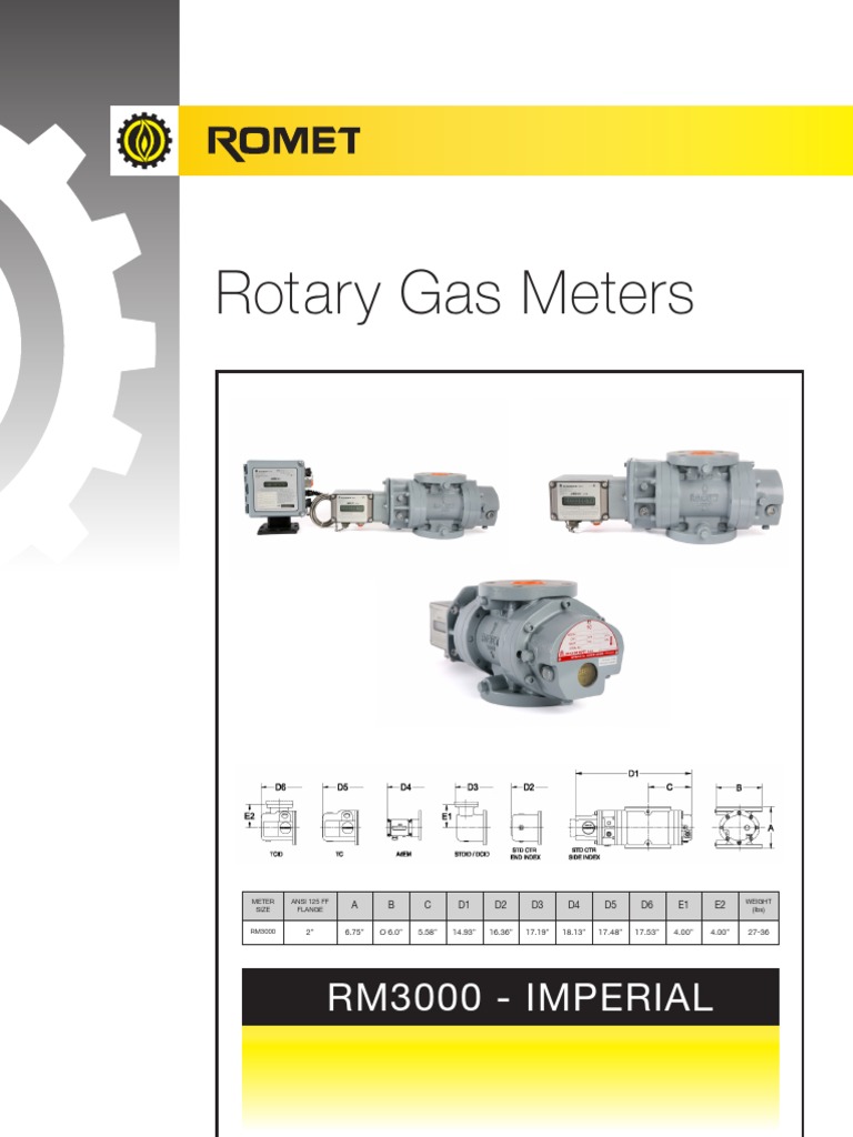 RM3000 Rotary Gas Meter Specifications | PDF