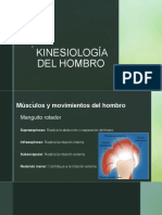 Kinesiología Del Hombro