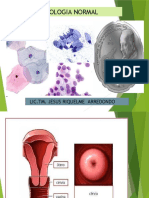 Citologia Normal e Infecciones