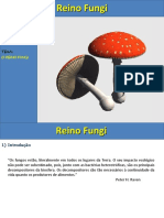 Fungos -2