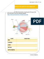 THE FUNCTIONS OF THE PARTS OF THE HUMAN EYE Worksheet 2