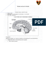 Sistema Nervioso Central Anexo 02